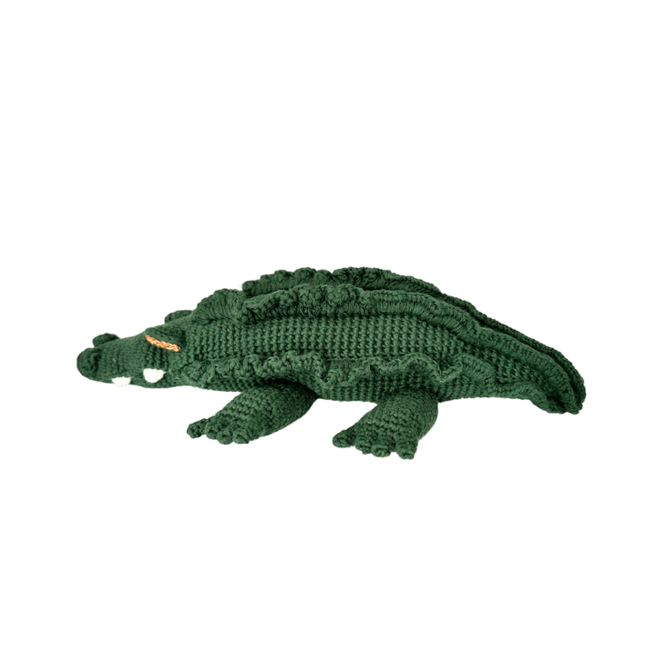 Marvin the Crocodile